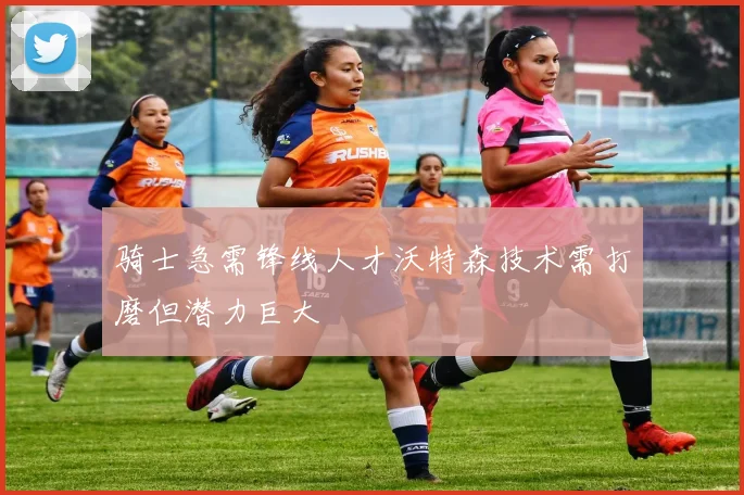 骑士急需锋线人才沃特森技术需打磨但潜力巨大